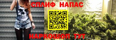 стаф Кандалакша