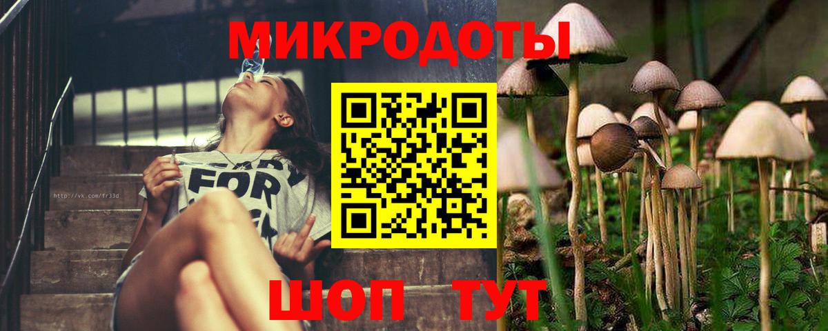 Псилоцибиновые грибы Magic Shrooms Лесной